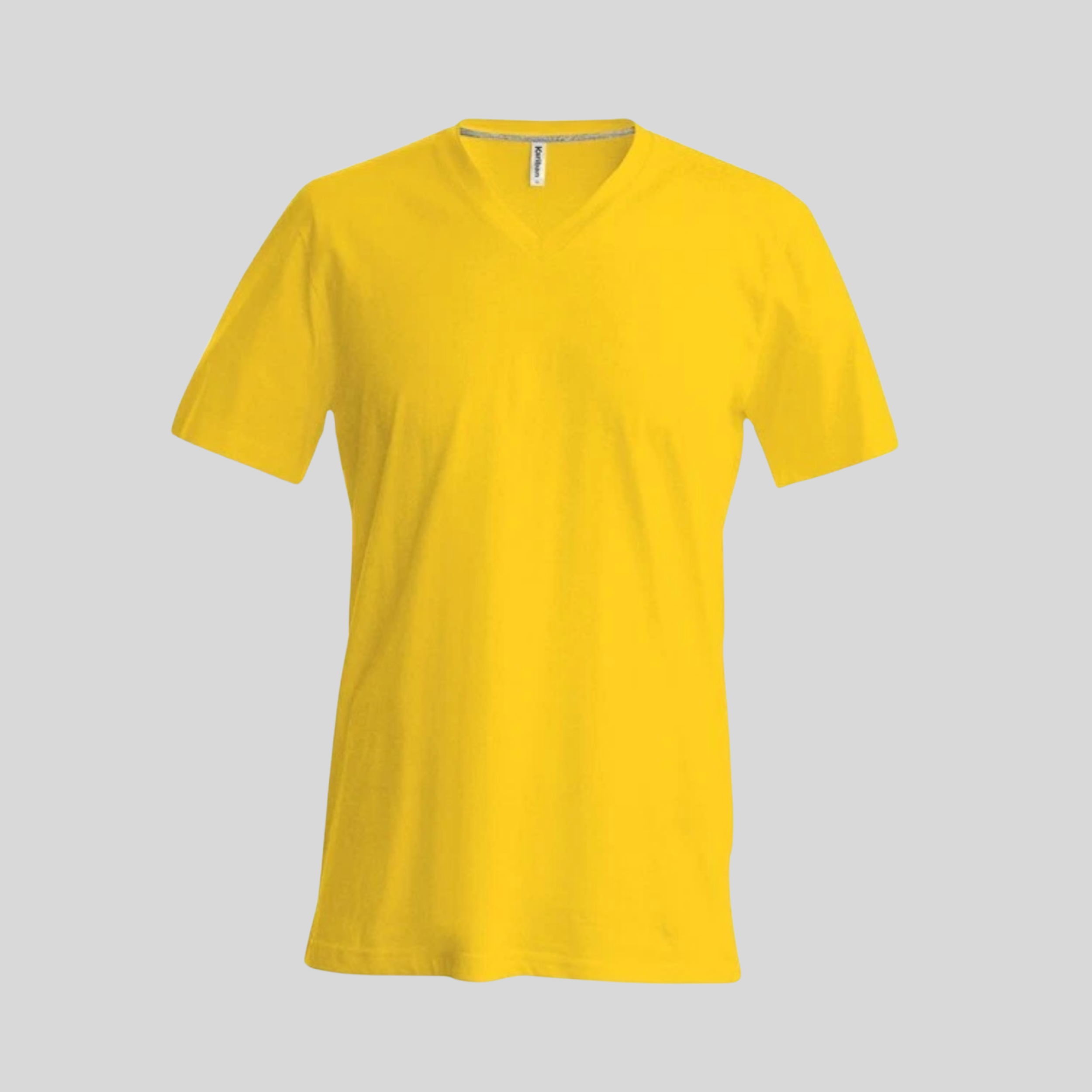 Playera heavy cotton MC Adulto